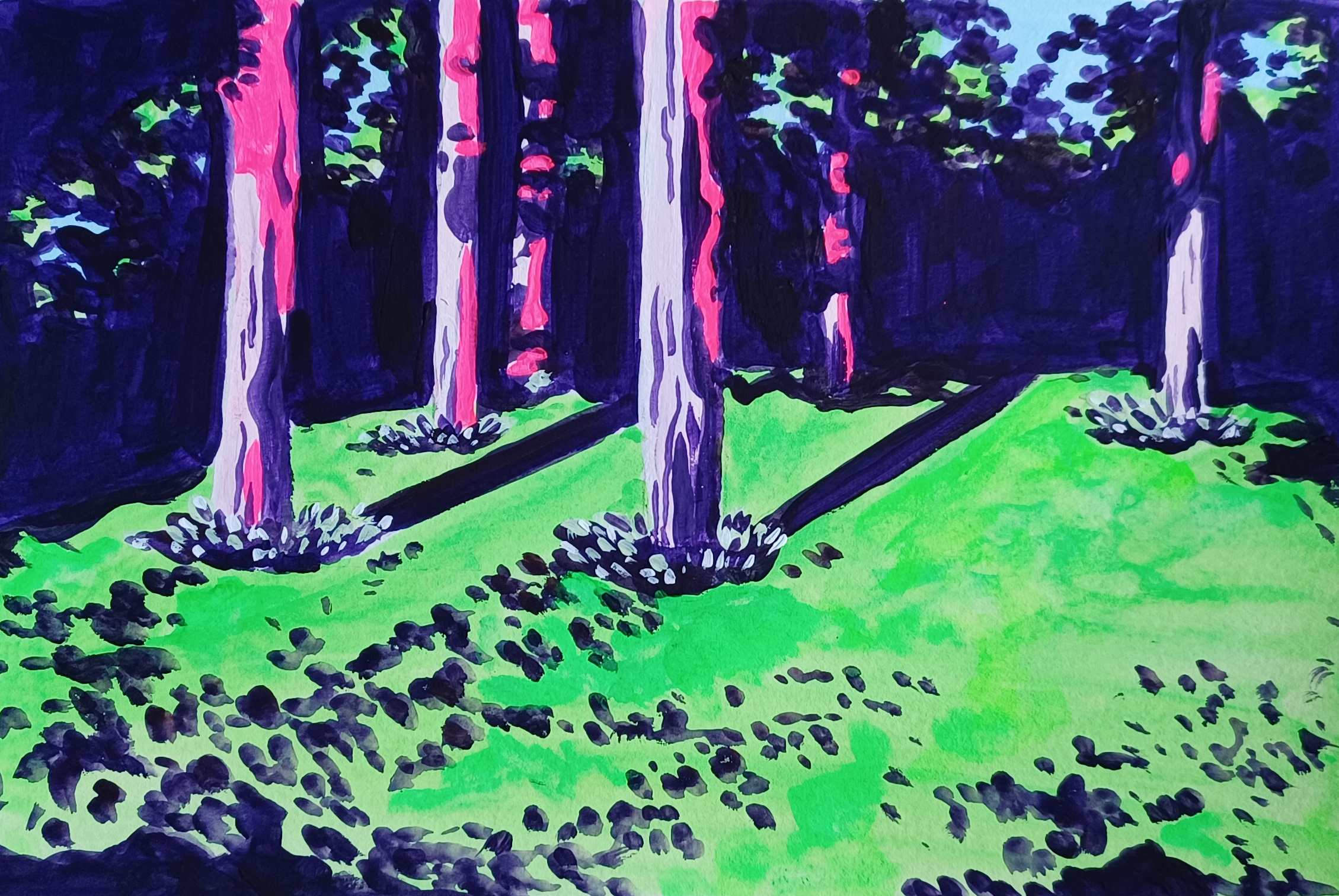 early morning august