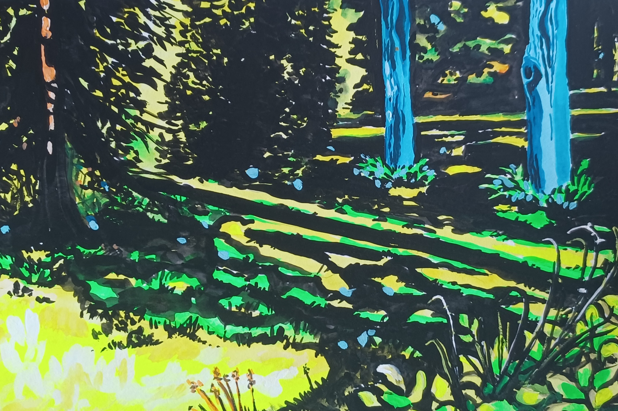 early evening summer