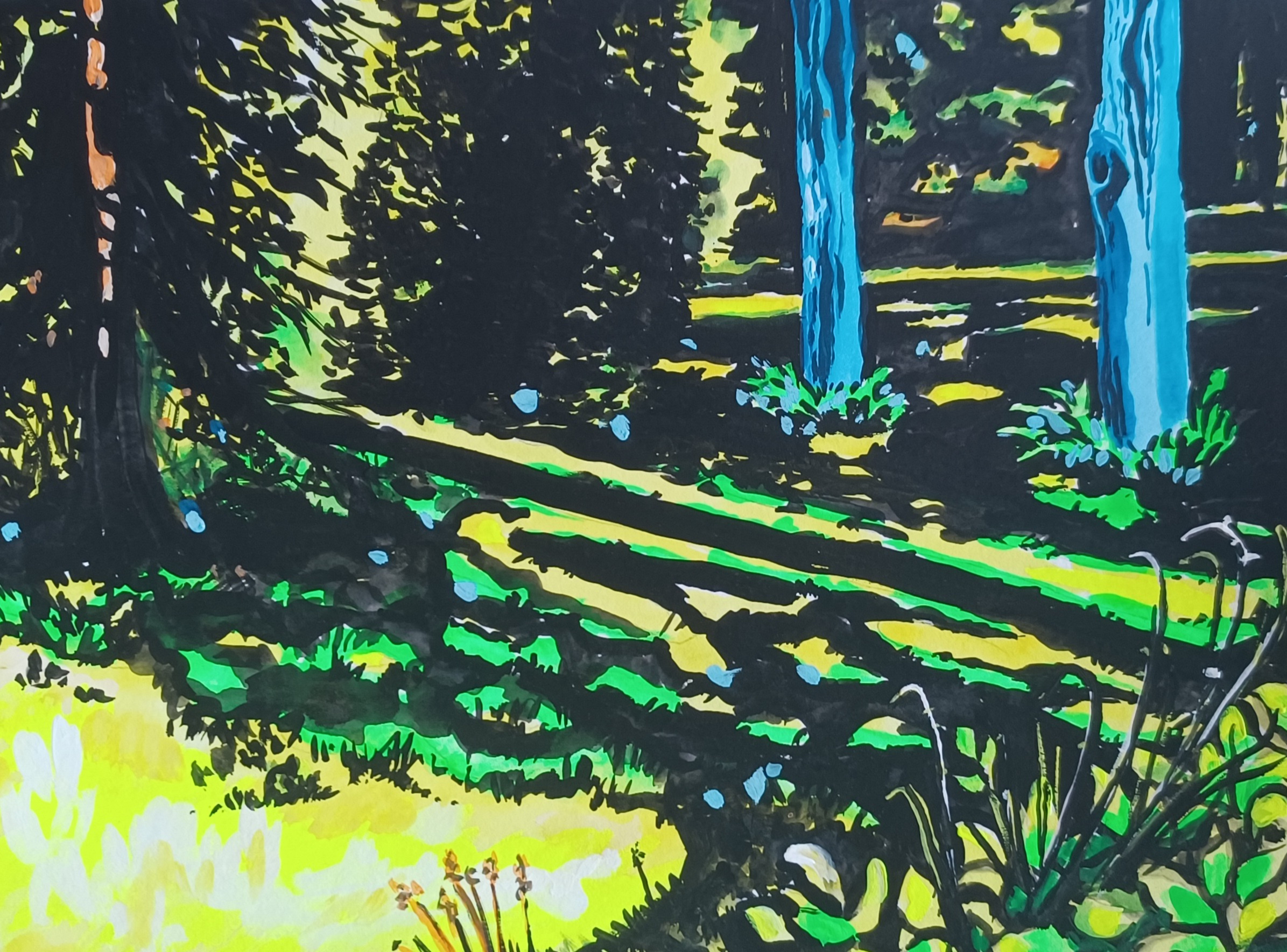 early evening summer